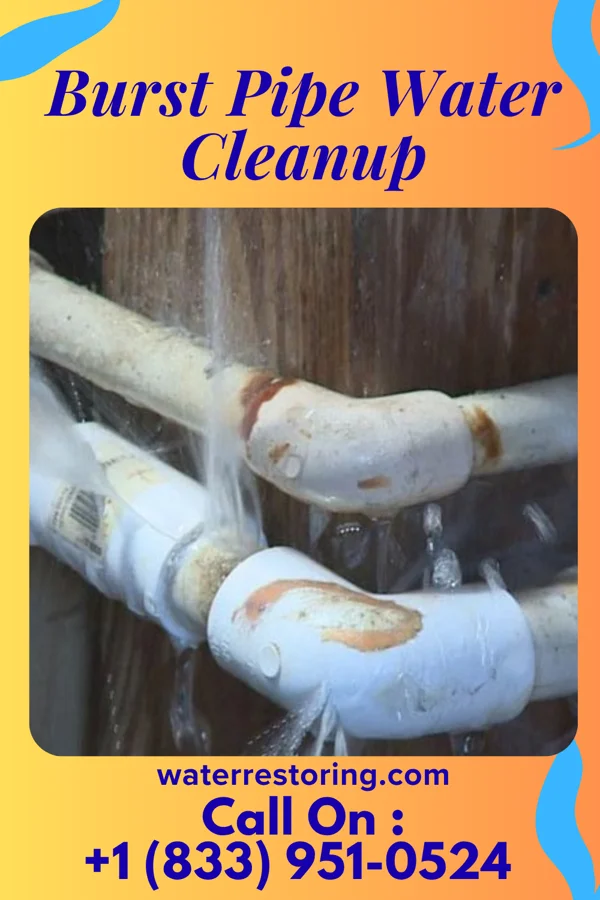 Burst Pipe Water Cleanup in Vandercook Lake, MI