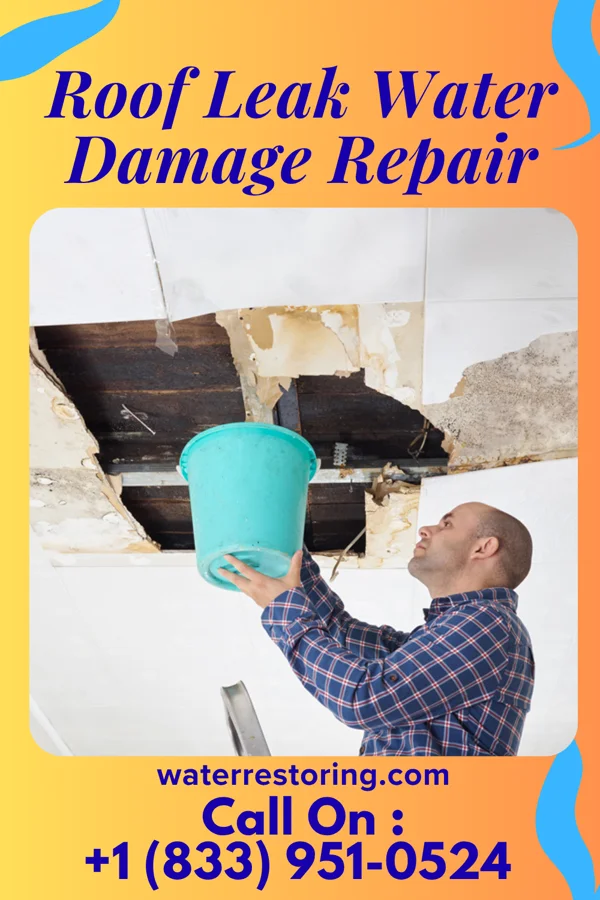 Roof Leak Water Damage Repair in Vandercook Lake, MI