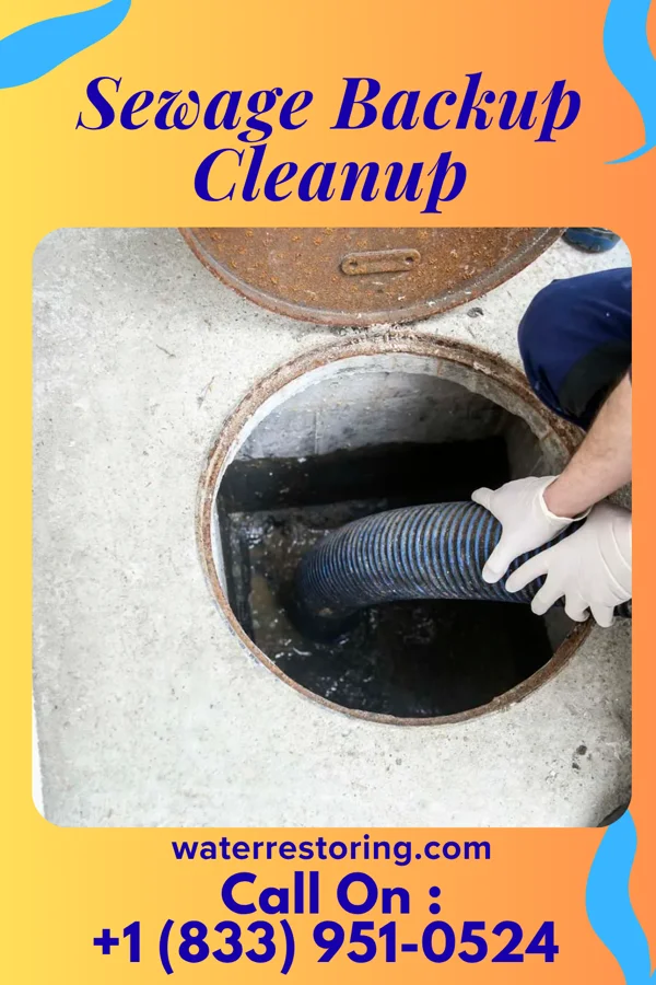 Sewage Backup Cleanup in Vandercook Lake, MI