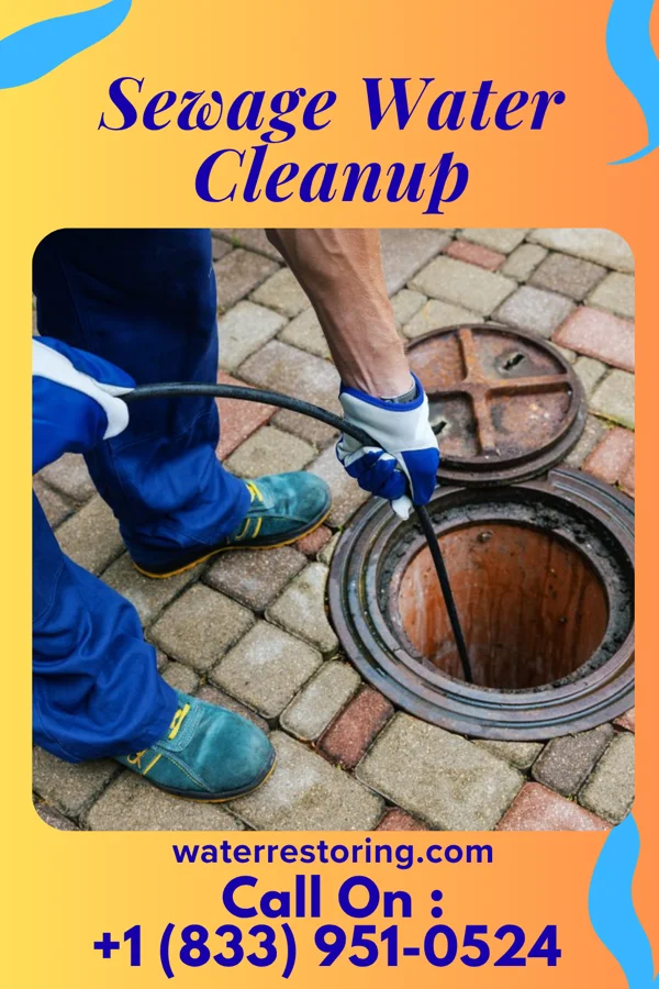 Sewage Water Cleanup in Vandercook Lake, MI