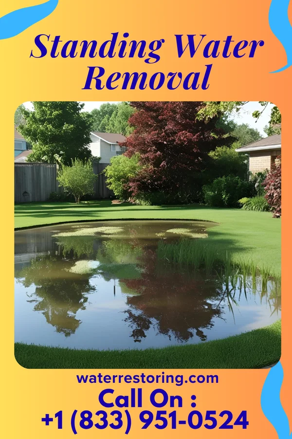 Standing Water Removal in Vandercook Lake, MI